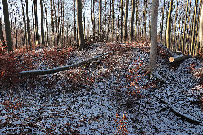 Burg Laar, der Hauptwall (Foto Eismann 2019) (2)