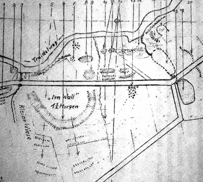 Plan der Jasburg im 19. Jh. (aus Scharnhop 1996)