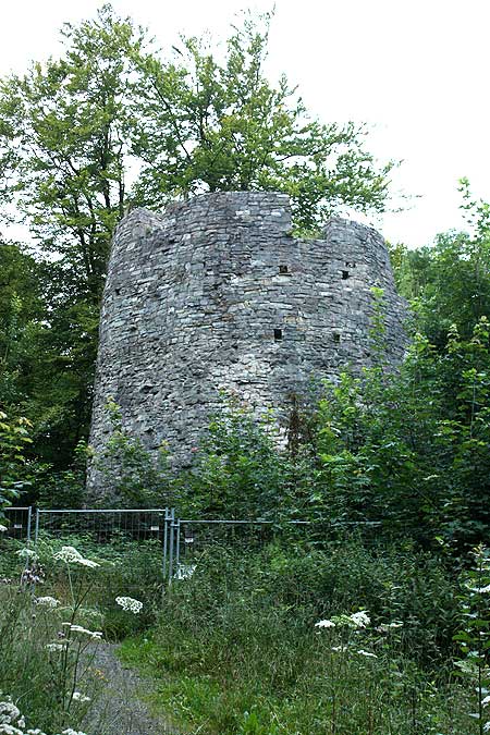  Bad Driburg, Iburg, Der Bergfried von Osten. Foto: Eismann 2012