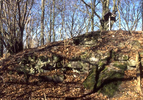 Fundamentreste der Burg auf dem Altenhagen. Foto: J. Friedhoff (2002)