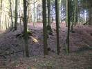 Kasselsburg. Gesamtansicht der Burgstelle. Foto: J. Friedhoff (2007)