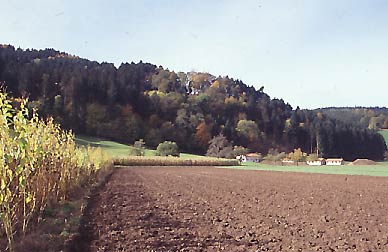 Ansicht des Bergsporns; die Burgstelle befindet sich in der Bildmitte (H. Wagner 25.10.2005).