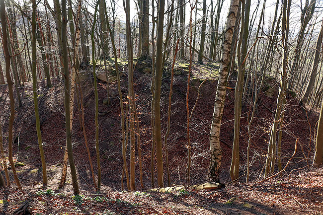 Blick auf die Hauptburg, (Foto Eismann 2020)