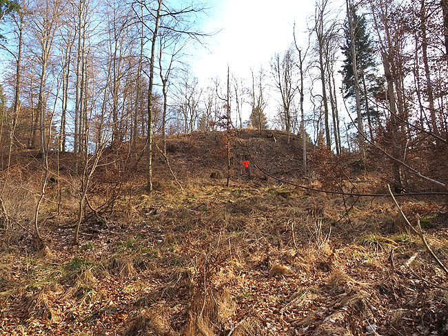 Obermarchtal Dachsberg, Ansicht des Burghügels von Nordwesten; Foto: Christoph Engels (2022)