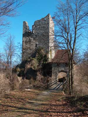 Haichenbach: Feldseitige Ansicht von Torbau und Bergfried. Foto: Patrick Schicht (2005)