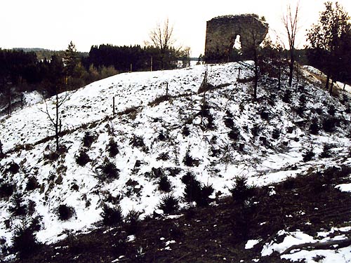Weikertschlag, Ansicht der Vorburg mit Bergfried von Südosten. Foto: Thomas Kühtreiber (2002).