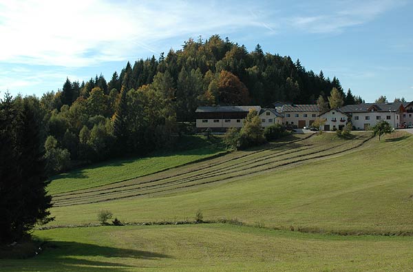 Anschau, Ansicht des Burgberges von Osten. Foto: Thomas Kühtreiber (2007).