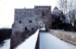 Wildberg: Ansicht der Burg von Osten. Foto: Thomas Kühtreiber (2003)