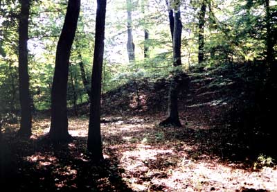 Der Graben der Burg  Gerencsr. Foto: Gergely Tolnai (2004)