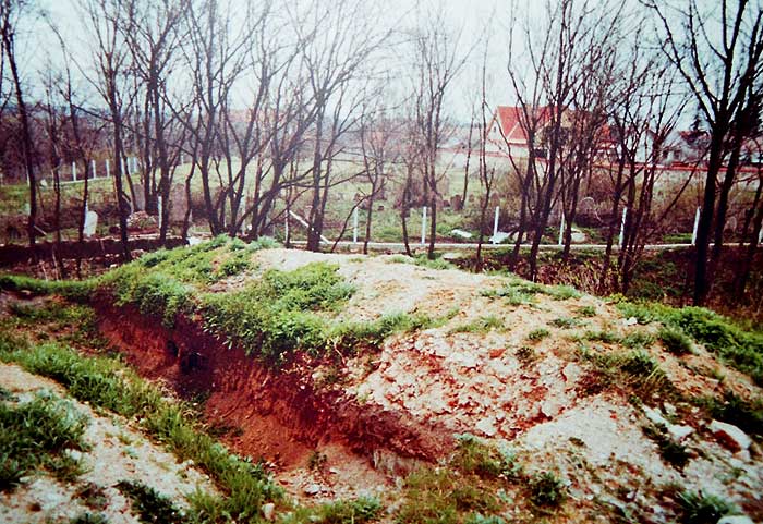 Szcsny-Strzsapart. Detail aus der Ausgrabung der Burg, 1992. (Foto:  Juan Cabello)