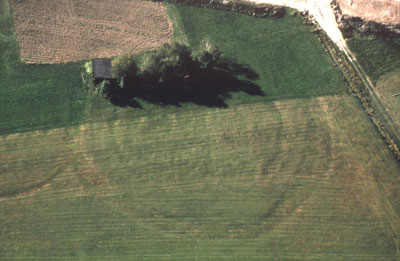 Luftaufnahme des Burgstalls von S (Aufnahme O. Braasch 1980; BLfD Luftbildarch&auml;ologie Archivnr. 6742/002; 1020-10)