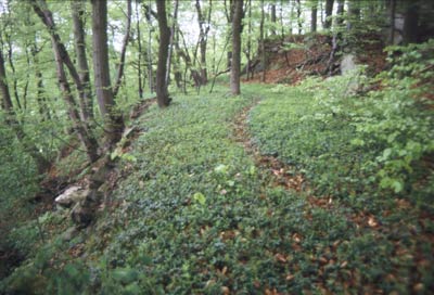 Unterburg von Nordosten, Foto: B. Ernst (1997)