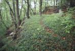 Unterburg von Nordosten, Foto: B. Ernst (1997)
