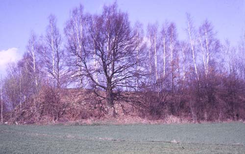 Das besterhaltene Wallst&uuml;ck von S aus dem Innenraum heraus; Foto: B. Ernst (1989)