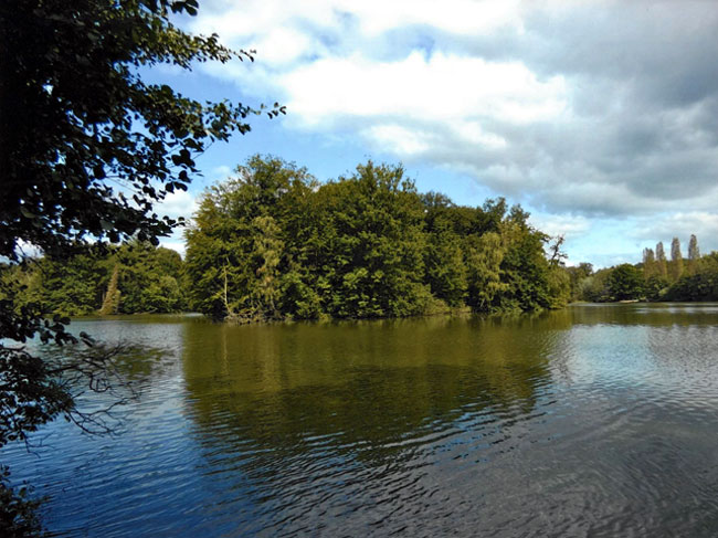 Saaler M&uuml;hle. Reste der Motte als Insel im See, Foto: H. Dirkes 2024
