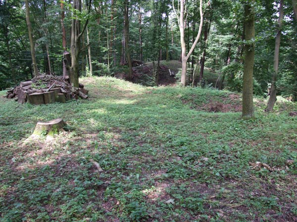 ČEJCHANOV. Pohled do prostoru hradn dispozice. Vepředu předhrad, vzadu hradn jdro. Foto J. Hloek (2008). - ČEJCHANOV. Ansicht im Raum der Burganlage. Vorn  die Vorburg, hinten der Burgkern. Foto J. Hloek (2008).