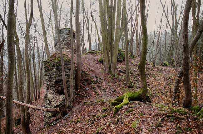 Zbytky druh brny a kaple v jdře hradu.  Überreste des zweiten Tores und der Kapelle im Burgkern. Foto T. Durdk