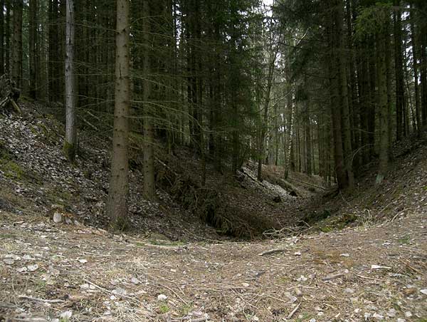 Faltej. Přkop předhrad. Podle M. Kohouta. Faltejn. Graben der Vorburg. Nach M. Kohout.