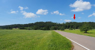 Ebenweiler, Burgstall im Oberholz; Ansicht von Ostnordost; Foto: Christoph Engels (2025).
