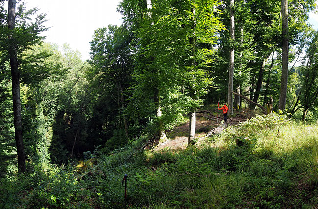 Berg-Hahnenberg,  Zangeburg; Blick vom Geb&auml;uderest nach Osten &uuml;ber Burgfl&auml;che (rechts) und n&ouml;rdlichen Tobel (links); Foto: Christoph Engels (2025).