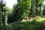 Berg-Hahnenberg,  Zangeburg; Blick vom Geb&auml;uderest nach Osten &uuml;ber Burgfl&auml;che (rechts) und n&ouml;rdlichen Tobel (links); Foto: Christoph Engels (2025).