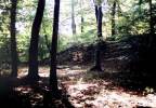 Der Graben der Burg  Gerencsér. Foto: Gergely Tolnai (2004)