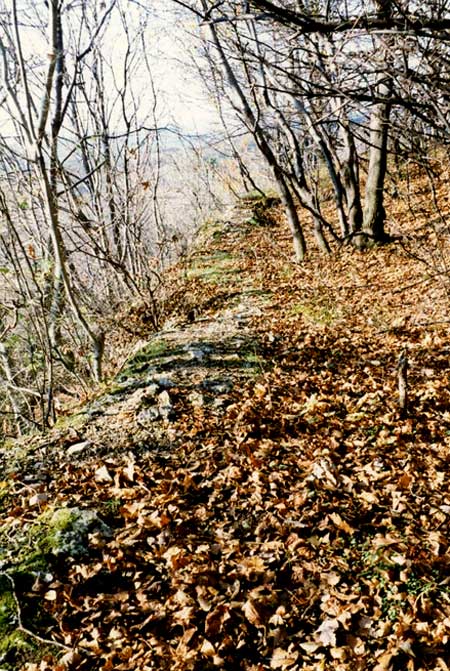Gnt-Oroszlnkő. Reste der Burgmauer im Norden, 1996 (Foto: György Terei)